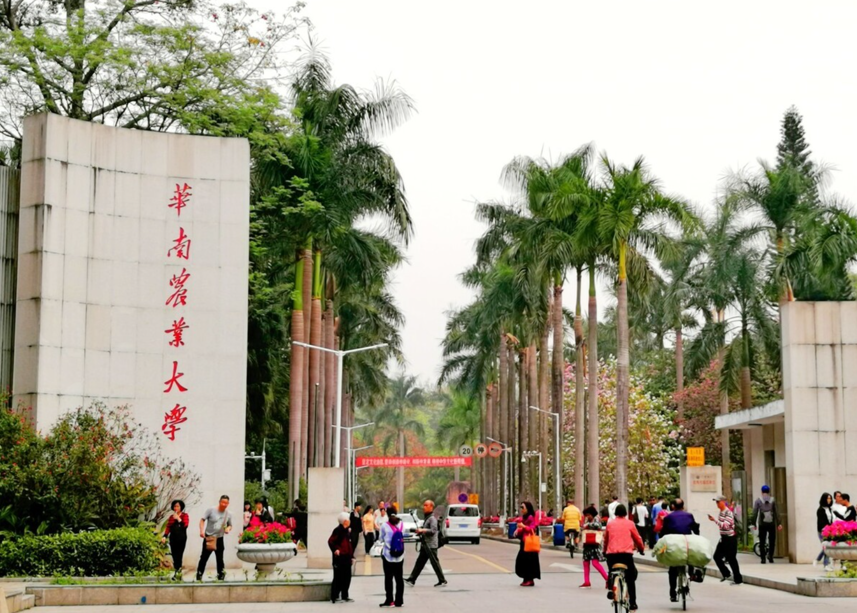华南农业大学继续教育学院多功能报告厅